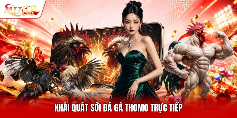 Khái quát sới đá gà Thomo trực tiếp